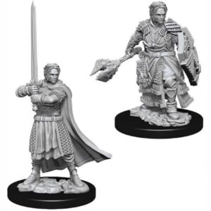 D&D Nolzur's Miniatures Male Human Cleric (2)