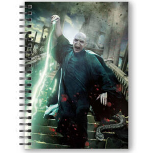 3D märkmik Harry Potter - Voldemort Poster