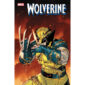 Wolverine #7 (2025)