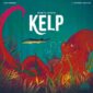 Kelp Shark vs. Octopus