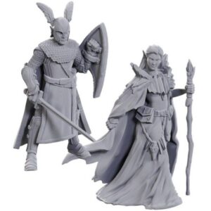 D&D Nolzur's Miniatures 50th Anniversary - Elves