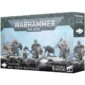 Space Wolves Wolf Guard Headtakers
