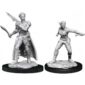 D&D Nolzur's Miniatures - Shifter Rogue Female
