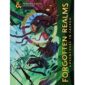 Dungeons & Dragons Forgotten Realms - Adventures in Faerun (Alt)