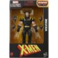 Marvel Legends X-Men - Wolverine Action Figure 15 cm