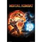 Plakat Mortal Kombat 9 - Scorpion vs Sub-Zero 61 x 91 cm